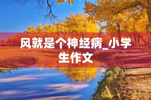 风就是个神经病_小学生作文