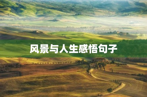 风景与人生感悟句子，风景与人生感悟句子图片