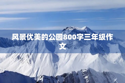 风景优美的公园800字三年级作文