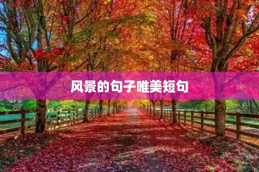 风景的句子唯美短句(描写风景的句子唯美短句) 风景的句子唯美短句(描写风景的句子唯美短句)