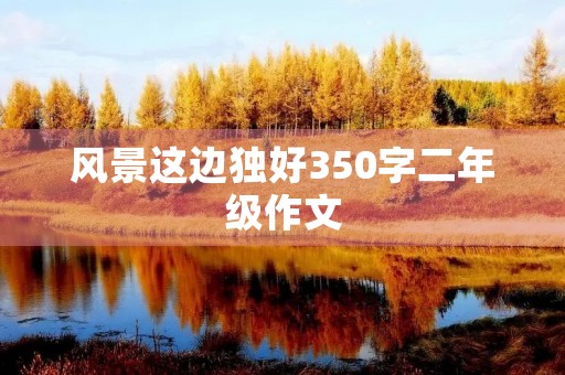 风景这边独好350字二年级作文