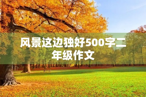 风景这边独好500字二年级作文 风景这边独好500字二年级作文