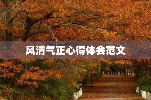 风清气正心得体会范文