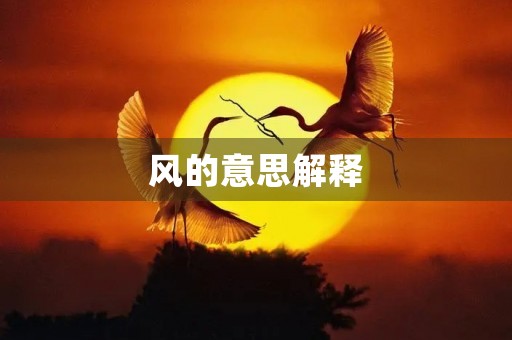 风的意思解释(风的拼音)