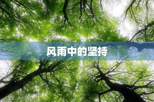 风雨中的坚持 风雨中的坚持