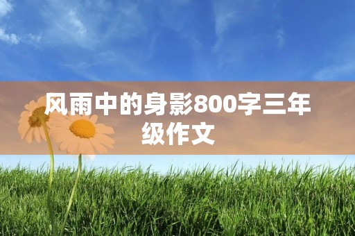 风雨中的身影800字三年级作文 风雨中的身影800字三年级作文