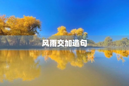 风雨交加造句(风雨交加造句)
