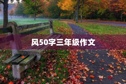 风50字三年级作文