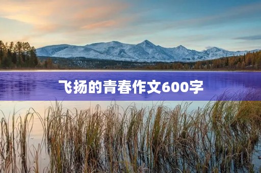 飞扬的青春作文600字 飞扬的青春作文600字