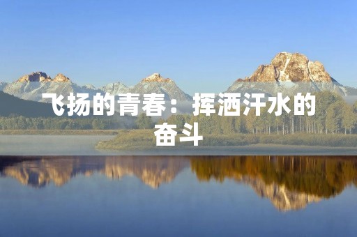 飞扬的青春:挥洒汗水的奋斗 飞扬的青春:挥洒汗水的奋斗