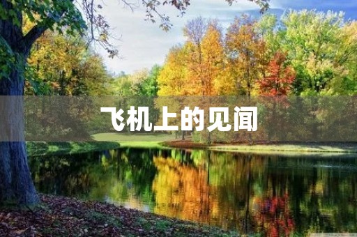 飞机上的见闻 飞机上的见闻