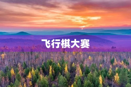 飞行棋大赛 飞行棋大赛