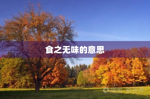 食之无味的意思(食之无味) 食之无味的意思(食之无味)