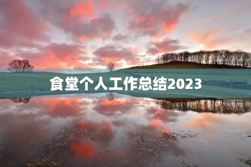 食堂个人工作总结2023