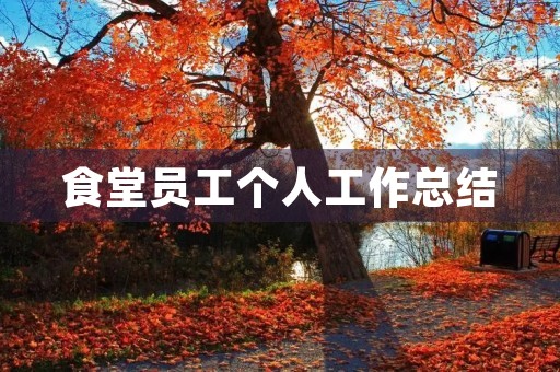 食堂员工个人工作总结