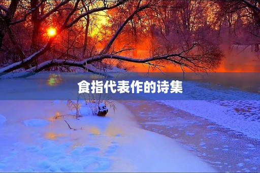 食指代表作的诗集 食指代表作的诗集