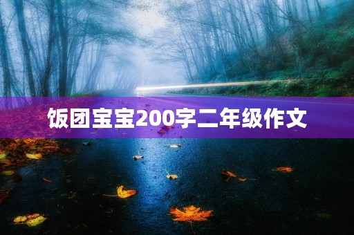 饭团宝宝200字二年级作文