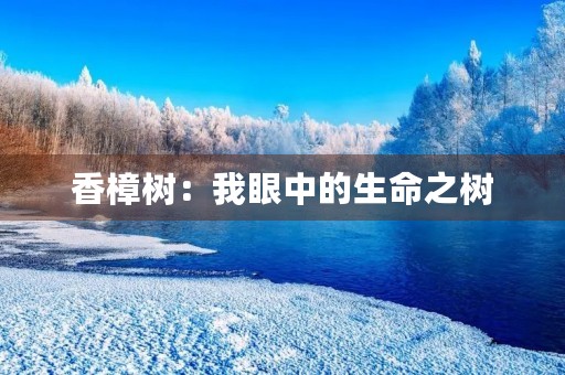 香樟树：我眼中的生命之树