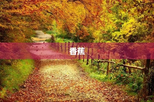 香蕉