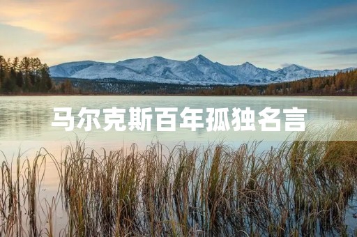 马尔克斯百年孤独名言(百年孤独十大金句)