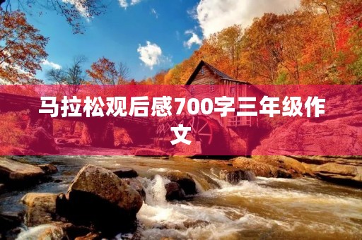 马拉松观后感700字三年级作文 马拉松观后感700字三年级作文