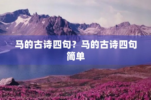 马的古诗四句？马的古诗四句简单