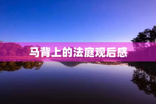 马背上的法庭观后感 马背上的法庭观后感