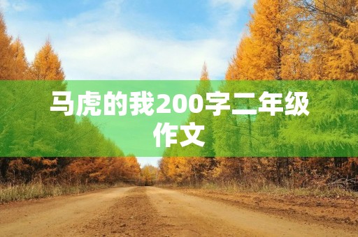 马虎的我200字二年级作文