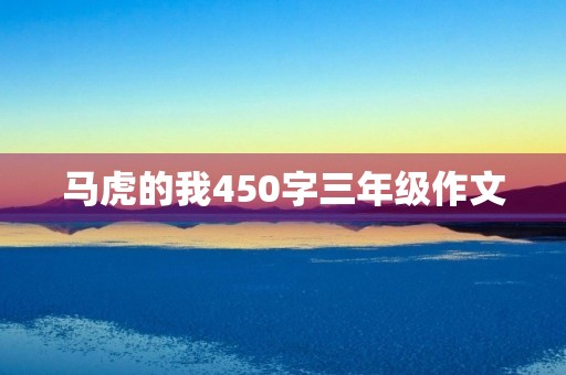 马虎的我450字三年级作文