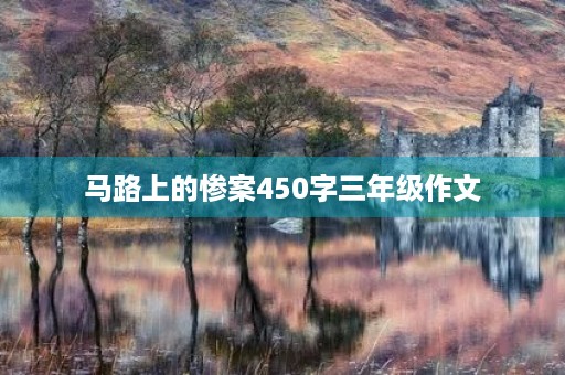 马路上的惨案450字三年级作文
