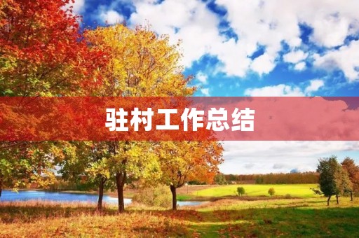 驻村工作总结