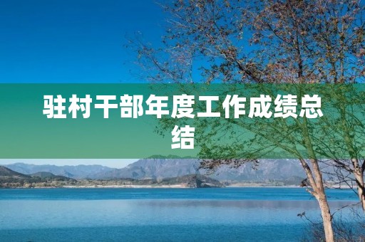 驻村干部年度工作成绩总结