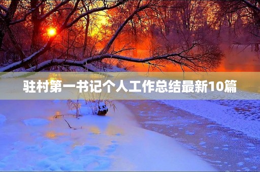 驻村第一书记个人工作总结最新10篇