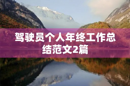 驾驶员个人年终工作总结范文2篇