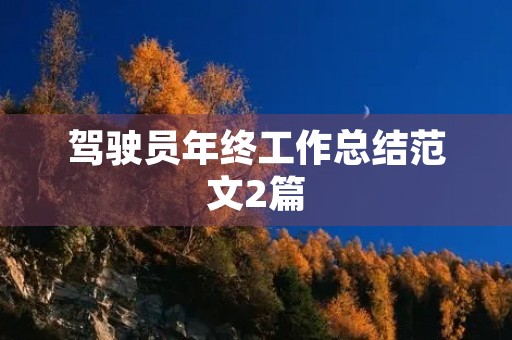 驾驶员年终工作总结范文2篇
