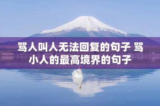 骂人叫人无法回复的句子 骂小人的最高境界的句子 骂人叫人无法回复的句子 骂小人的最高境界的句子