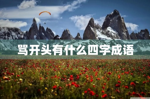 骂开头有什么四字成语 骂开头有什么四字成语