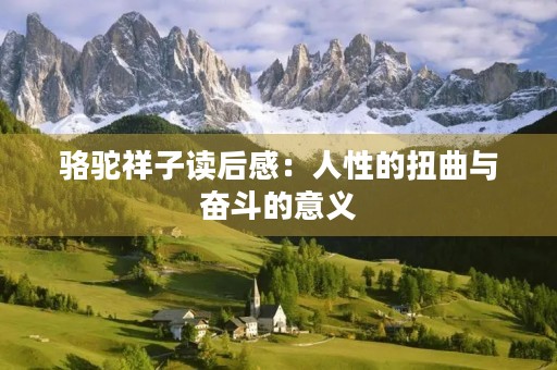 骆驼祥子读后感：人性的扭曲与奋斗的意义