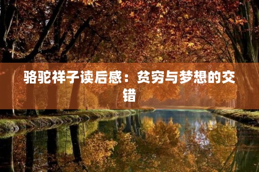 骆驼祥子读后感：贫穷与梦想的交错