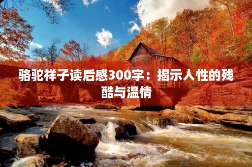 骆驼祥子读后感300字：揭示人性的残酷与温情