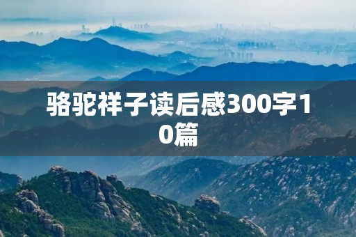骆驼祥子读后感300字10篇