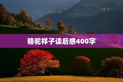 骆驼祥子读后感400字 骆驼祥子读后感400字
