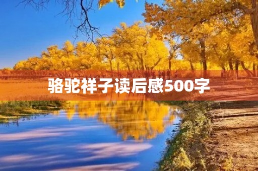 骆驼祥子读后感500字