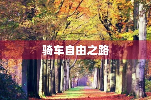 骑车自由之路