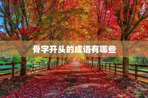骨字开头的成语有哪些 骨字开头的成语有哪些