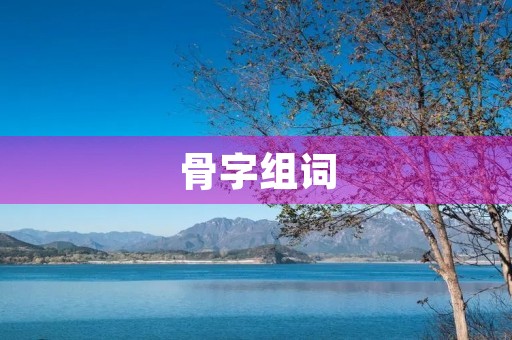 骨字组词(骨组词)