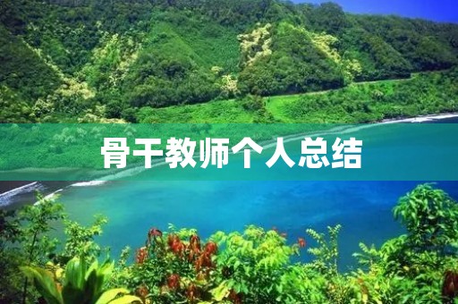 骨干教师个人总结 骨干教师个人总结