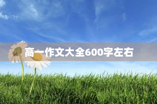 高一作文大全600字左右