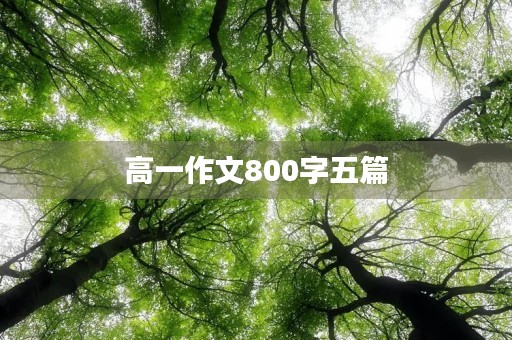 高一作文800字五篇
