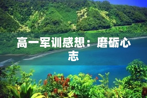 高一军训感想：磨砺心志，锤炼品格